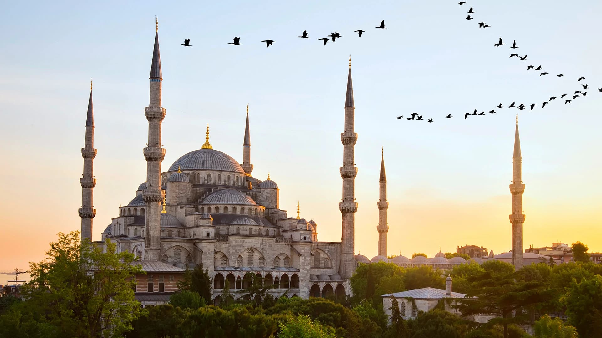 China Eastern/Turkish Seniors Business Class Round-the-World via Buenos Aires and Istanbul thumbnail 2